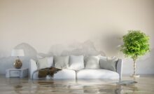 Your House Has Flooded -- What Texans Should Do